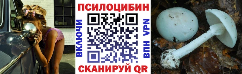Псилоцибиновые грибы Psilocybine cubensis  наркошоп  Городец 