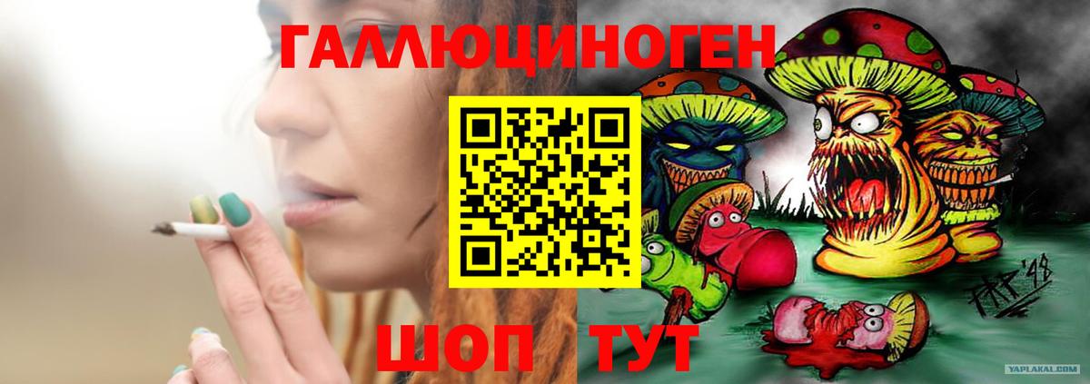 Городец  Галлюциногенные грибы мухоморы  Галлюциногенные грибы прущие грибы  Вход с VPN 