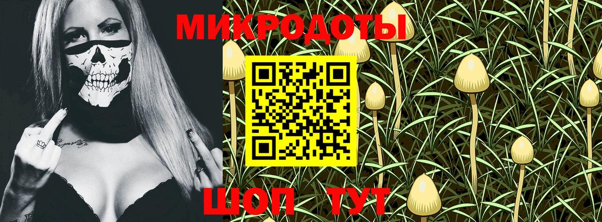 Псилоцибиновые грибы Psilocybine cubensis  Псилоцибиновые грибы мицелий  Городец 